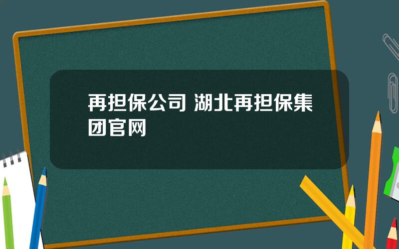 再担保公司 湖北再担保集团官网